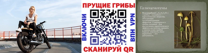 купить  цена  Уссурийск  площадка формула  Псилоцибиновые грибы мицелий  kraken ONION 